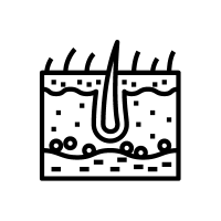 Sistema Dermatológico